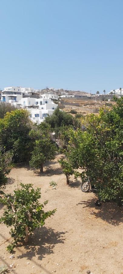 Demis Mykonos Stay 2 Platys Gialos  Exterior photo